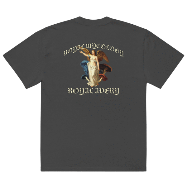Royal Avery Oversized Faded Tee - Image 2